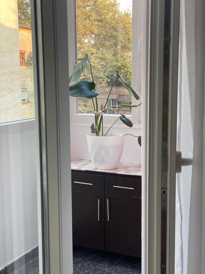 Central Welcoming Apartment In Tirana Bagian luar foto