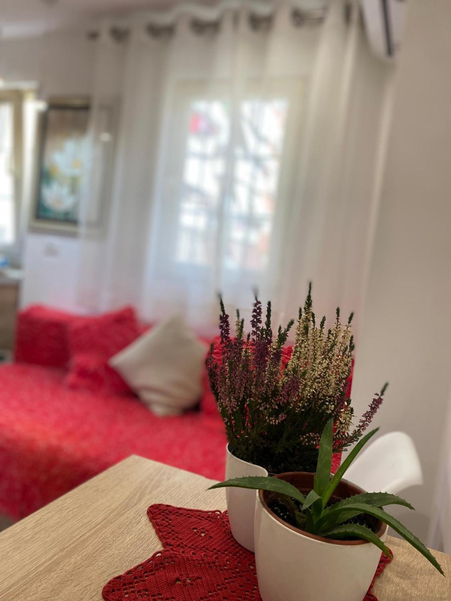 Central Welcoming Apartment In Tirana Bagian luar foto